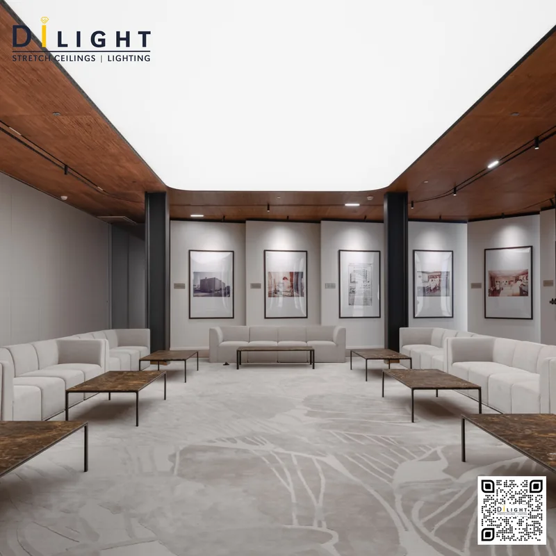 Translucent Ceiling 4