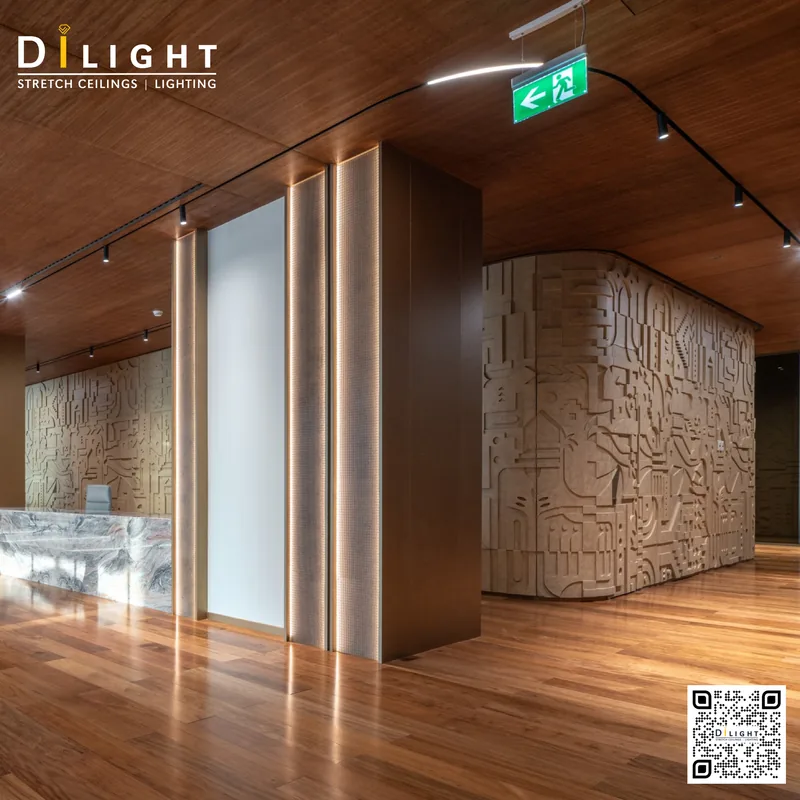 Track Light 11
