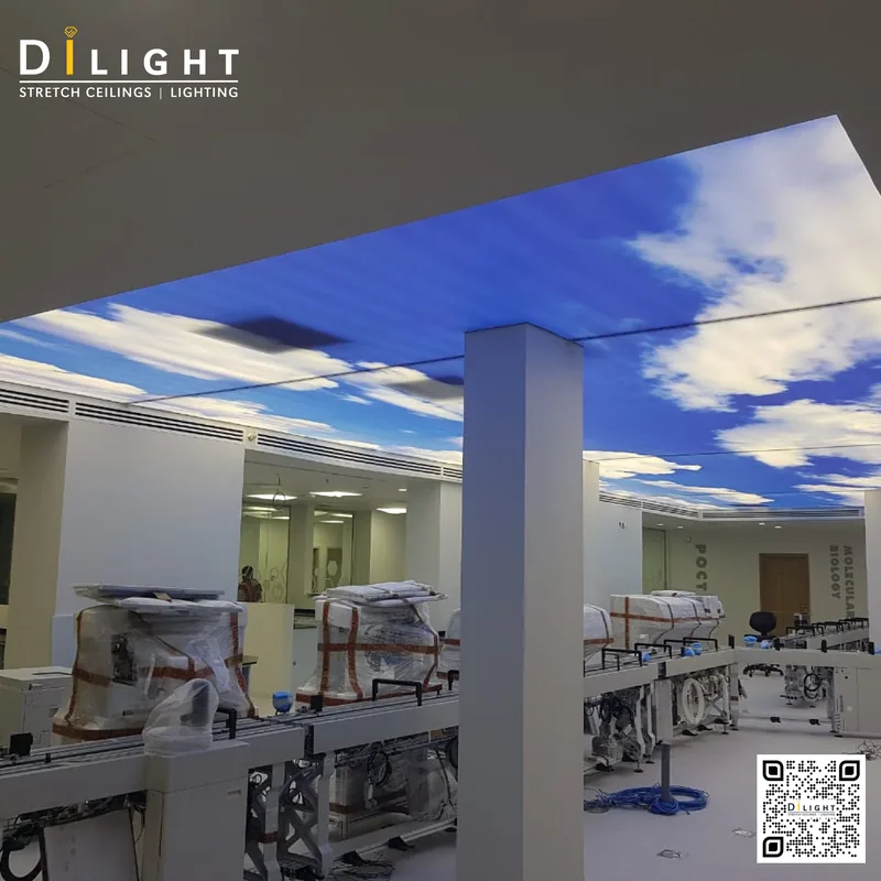 Print Ceiling 5