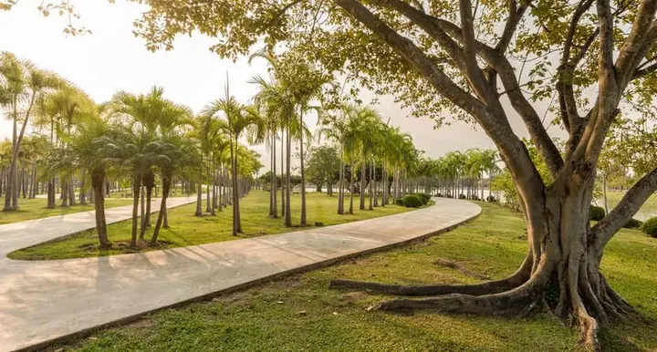 Prince Sultan Bin AbdulAziz Park — PTFE — TMSI
